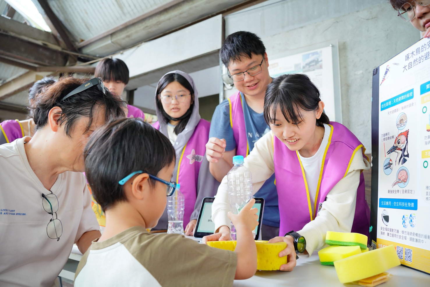 「啄木鳥的安全帽」模擬啄木鳥及安全帽的防震設計