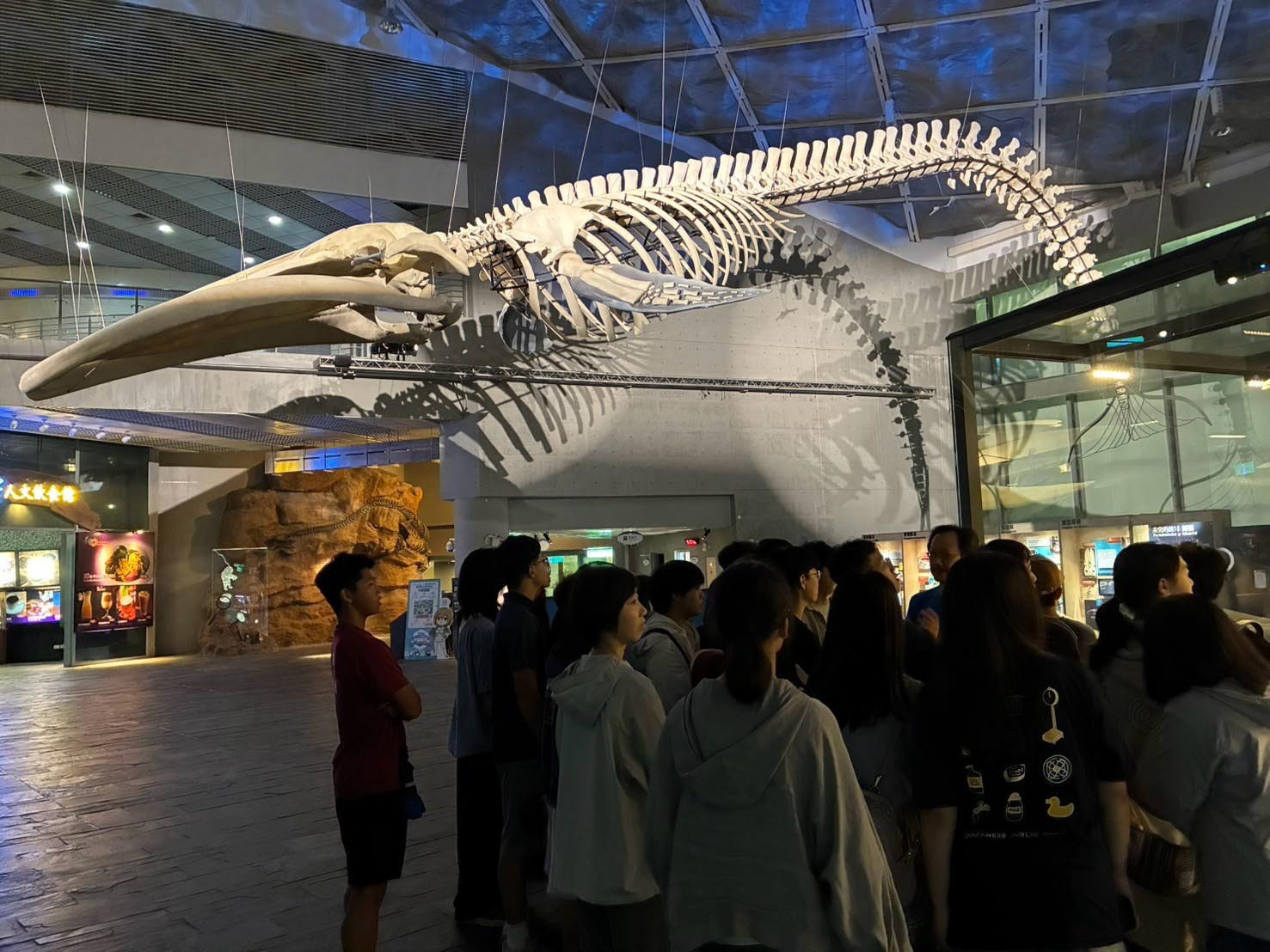 參訪國立海洋生物博物館、全世界只有10隻公開展示的藍鯨